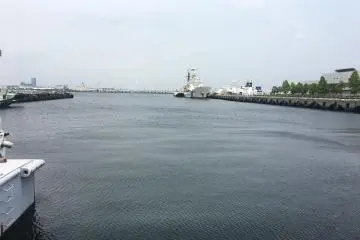 View of the bay from the complex's back side