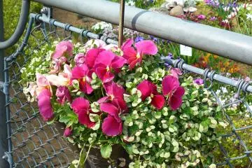 Cute umbrella-shaped outdoor planter (Photo: Olga Kaneda)