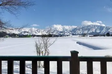 Balcony view from Forest Inn