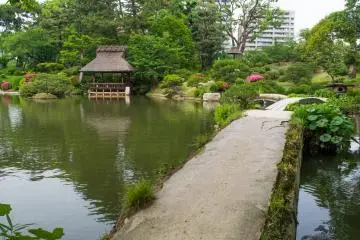 Shukkei-en, an Edo period garden from 1620. It was destroyed but later replanted after the dropping of the atomic bomb.