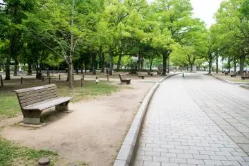Hiroshima Peace Memorial Park, which offers a quiet escape from the city.