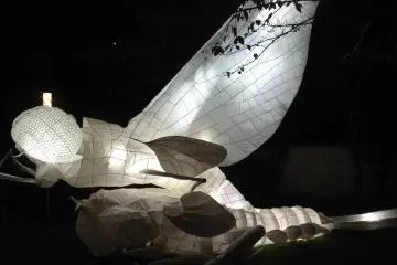 Things that glow in the night at Nuit Blanche Kyoto (Photo: <a href="http://www.flickr.com/photos/sparklig/8058418541/" target="_blank" rel="noreferrer noopener nofollow">Sparklg</a>)