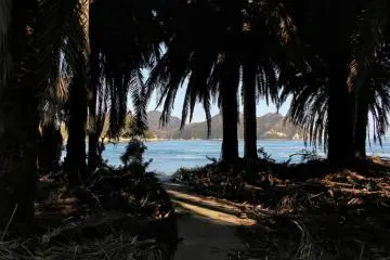 <p>En suivant la route derri&egrave;re le petit &eacute;tang, vous tomberez sur un chemin b&eacute;tonn&eacute; qui d&eacute;bouche sur une plage bord&eacute;e de palmiers. Et &agrave; priori, vous aurez la plage toute enti&egrave;re rien que pour vous!</p>