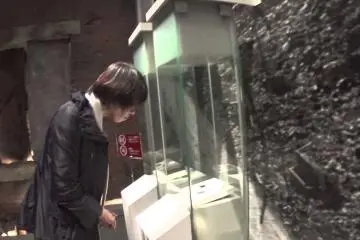 세계에서 가장 유명한 반전 박물관