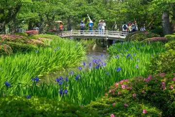 Kenroku-en, the beautiful park in central Kanazawa.
