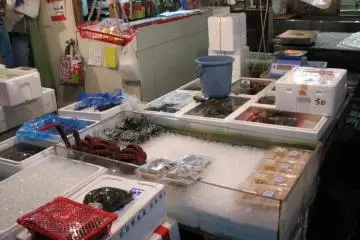 Tsukiji Central Wholesale Market [結束]