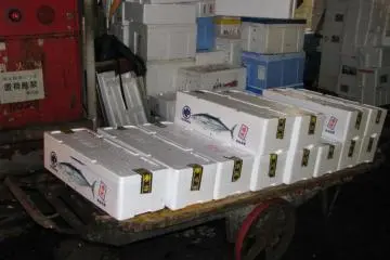 Lots of styrofoam boxes.
