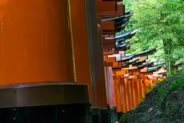 La célèbre allée de torii rouge du Fushimi Inari-taisha à Kyoto 