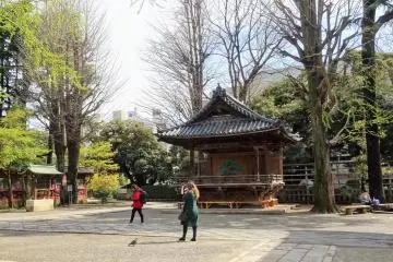 Gallery image