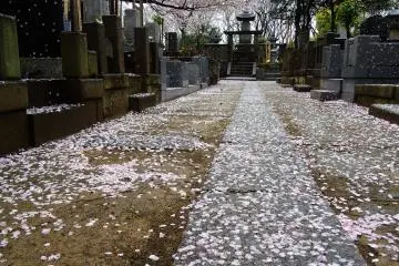 สิ่งใดเกิด สิ่งนั้นย่อมมีดับสลาย