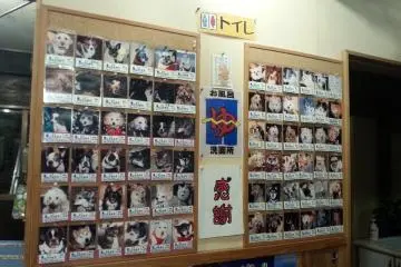 Pets who have stayed here
