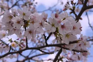 Another nice close-up
