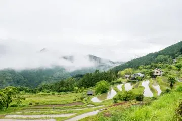 Takahara, le premier village que les marcheurs ssur la route de Nakahechi et en provenance du Takijiri-oji rencontreront au cours de leur randonnée.