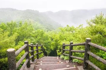 Le Kumano Kodô passe par des ascensions fatigantes et intenses, mais récompensées par la pause ponctuelle et magnifique dans les arbres.