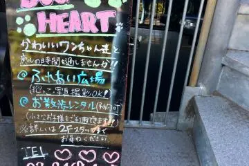 Papan depan dari Dog Heart