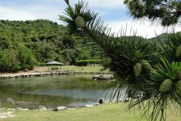pond