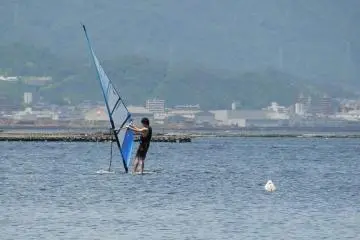 windsurfer
