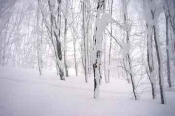 Icy winter landscape all around