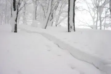 In winter trails are visible; walk here in summer and you might get lost in the woods