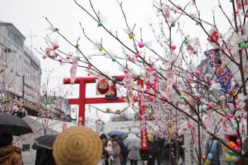Festival Amekko-ichi 
