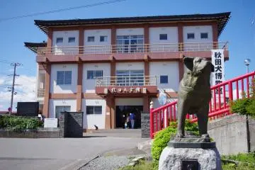 Museum Akita Inu 