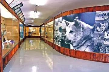 Di dalam Museum Akita Inu 