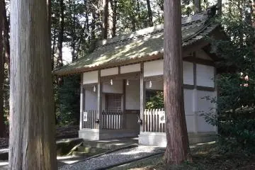 Gallery image