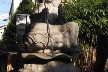 Sitting and contemplating