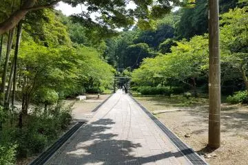 Gallery image
