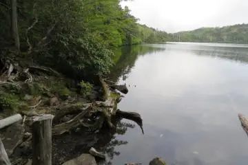 Shirakoma Pond