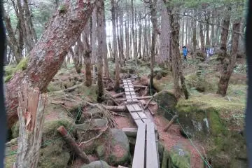 Plank Trail Around Shirakoma Pond