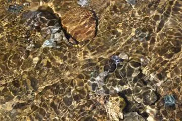 L'eau est transparente