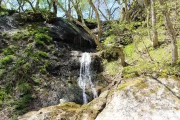 Un petit ruisseau s'écoule dans la rivière
