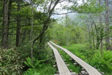 Path along Dakeswa Marsh