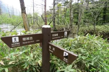 Well marked trails
