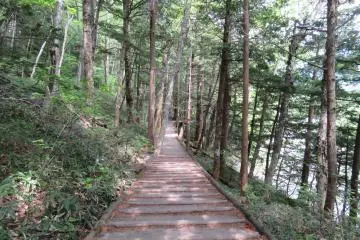 Wooden path near Myojin Bridge