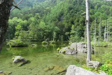 Myojin Pond is fed by several springs