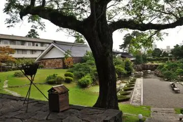View into the central garden