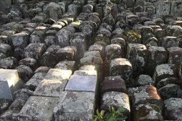 Scores of ancient grave markers