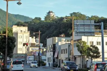 View of the castle from town