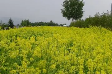 Great Earth Cycling Event in Furano