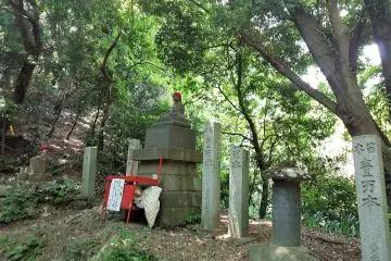 Gallery image