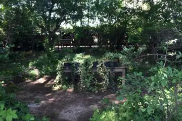 Chilling out & chatting in a relaxing garden