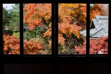 <p>La vue depuis la fen&ecirc;tre du restaurant est impressionnante, particuli&egrave;rement pendant l'automne et le printemps</p>