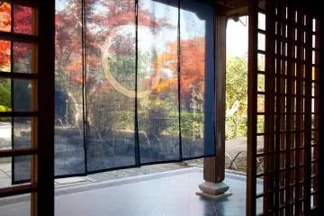 <p>Vue sur le jardin depuis l'entr&eacute;e du restaurant</p>
