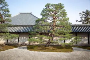 <p>Le site de ce complexe de temples est impeccablement tenu et tr&egrave;s relaxant</p>