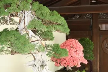 หลากหลายแบบและขนาด