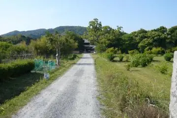 Approach to the temple