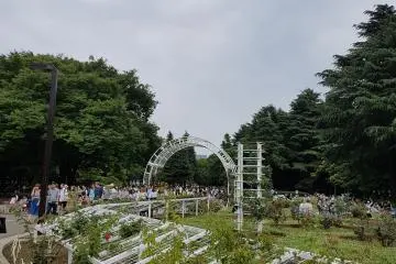 Gallery image
