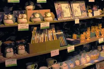 Owl Souvenir Shop